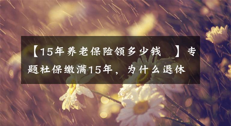 【15年養(yǎng)老保險領(lǐng)多少錢	】專題社保繳滿15年，為什么退休后的養(yǎng)老金才800多元？應(yīng)該怎么辦？