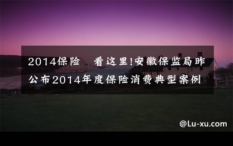 2014保險(xiǎn) 看這里!安徽保監(jiān)局昨公布2014年度保險(xiǎn)消費(fèi)典型案例