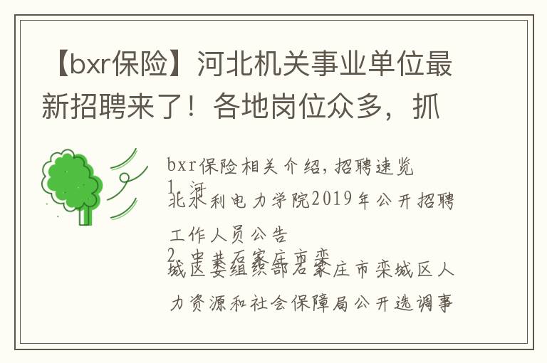 【bxr保險】河北機關(guān)事業(yè)單位最新招聘來了！各地崗位眾多，抓緊報名