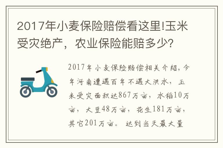 2017年小麥保險(xiǎn)賠償看這里!玉米受災(zāi)絕產(chǎn)，農(nóng)業(yè)保險(xiǎn)能賠多少？什么是完全賠付？最高能賠多少