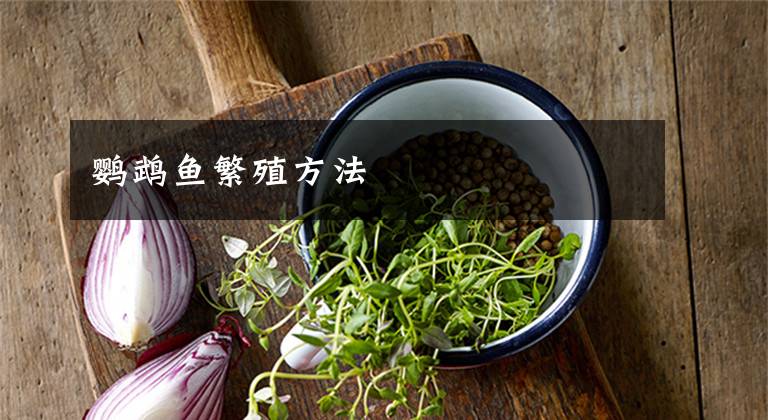 鸚鵡魚(yú)繁殖方法