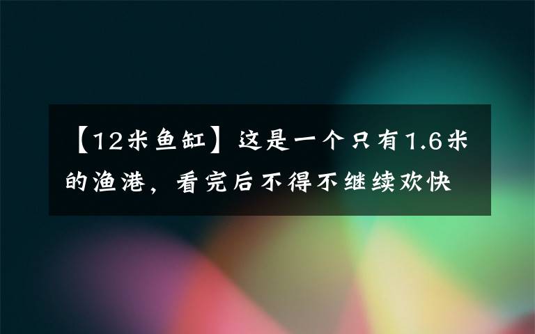 【12米魚缸】這是一個(gè)只有1.6米的漁港，看完后不得不繼續(xù)歡快地呼叫！