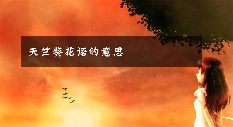 天竺葵花語(yǔ)的意思