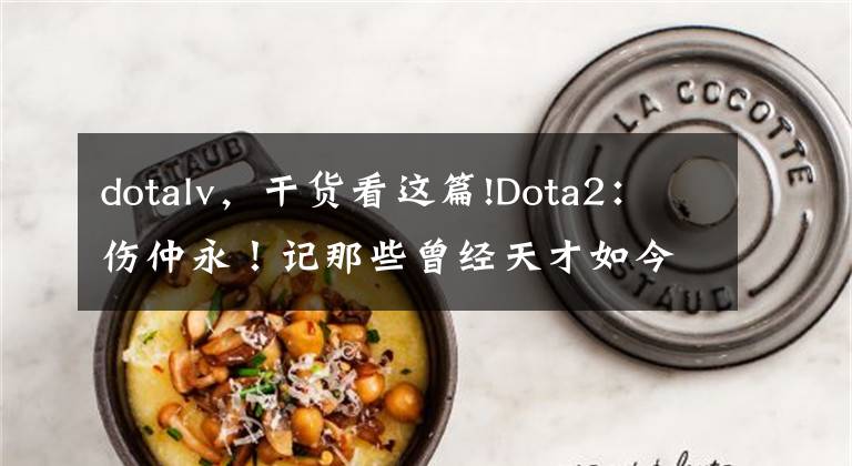 dotalv，干貨看這篇!Dota2：傷仲永！記那些曾經(jīng)天才如今泯然眾人的選手