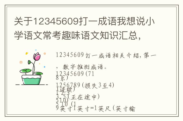 關(guān)于12345609打一成語我想說小學(xué)語文?？既の墩Z文知識(shí)匯總，建議收藏