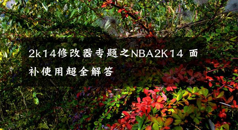 2k14修改器專題之NBA2K14 面補(bǔ)使用超全解答