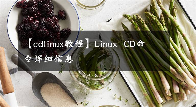 【cdlinux教程】Linux CD命令詳細(xì)信息