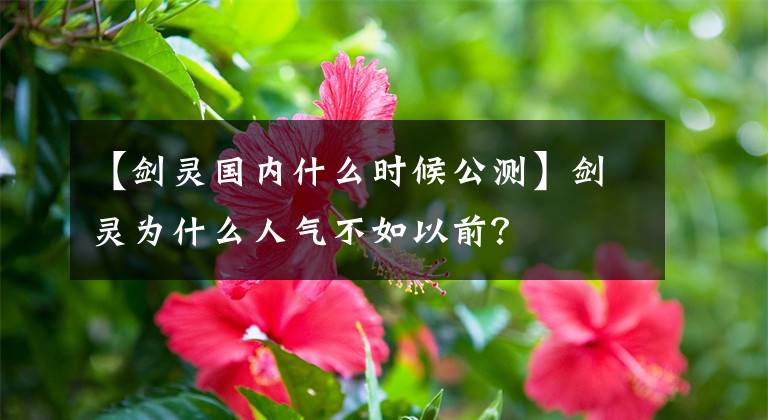 【劍靈國(guó)內(nèi)什么時(shí)候公測(cè)】劍靈為什么人氣不如以前？