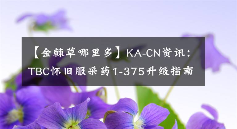 【金棘草哪里多】KA-CN資訊：TBC懷舊服采藥1-375升級指南