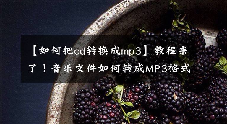 【如何把cd轉(zhuǎn)換成mp3】教程來了！音樂文件如何轉(zhuǎn)成MP3格式