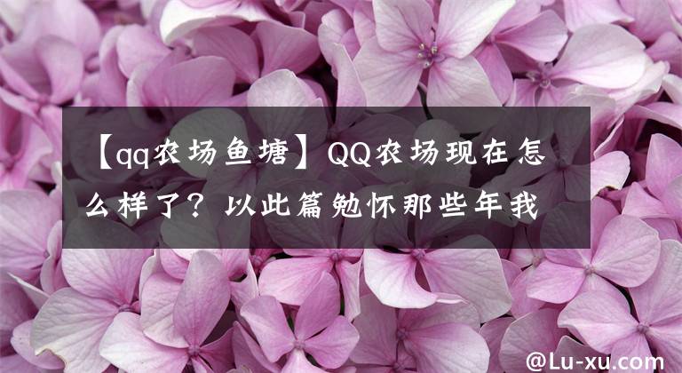 【qq農(nóng)場魚塘】QQ農(nóng)場現(xiàn)在怎么樣了？以此篇勉懷那些年我們瘋狂過的偷菜歲月