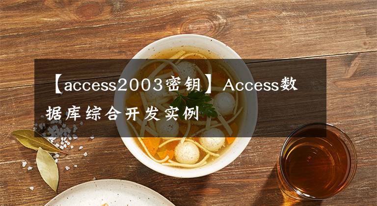 【access2003密鑰】Access數(shù)據(jù)庫綜合開發(fā)實例