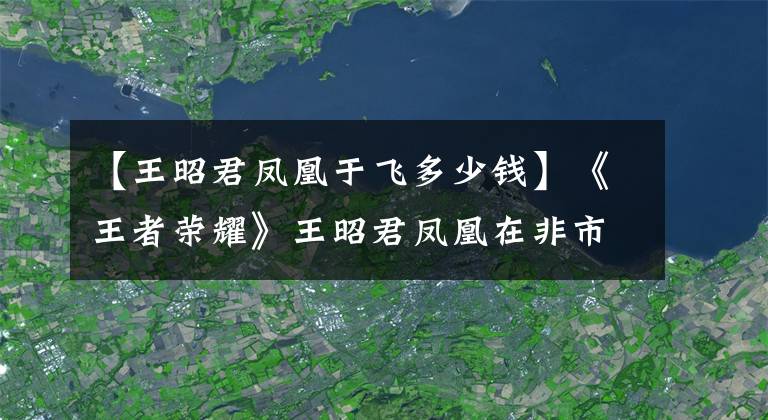 【王昭君鳳凰于飛多少錢(qián)】《王者榮耀》王昭君鳳凰在非市場(chǎng)手里安裝貨架