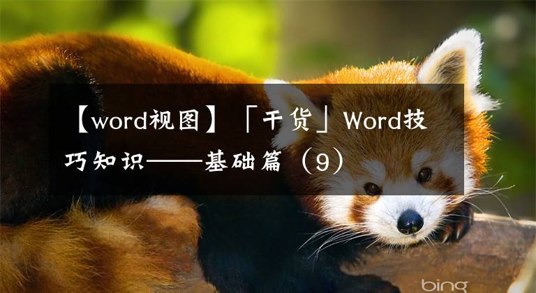 【word視圖】「干貨」Word技巧知識(shí)——基礎(chǔ)篇（9）