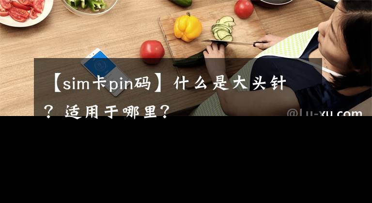 【sim卡pin碼】什么是大頭針？適用于哪里？