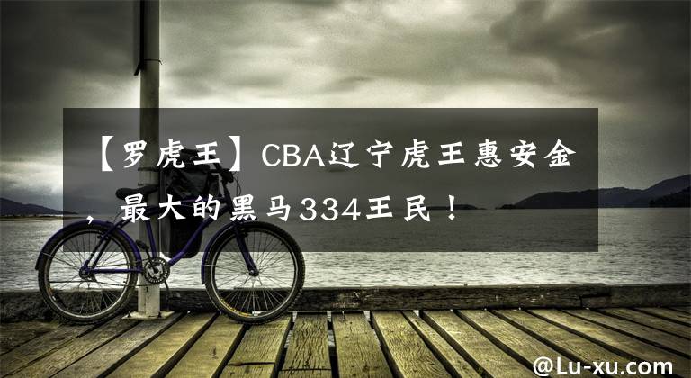 【羅虎王】CBA遼寧虎王惠安金，最大的黑馬334王民！