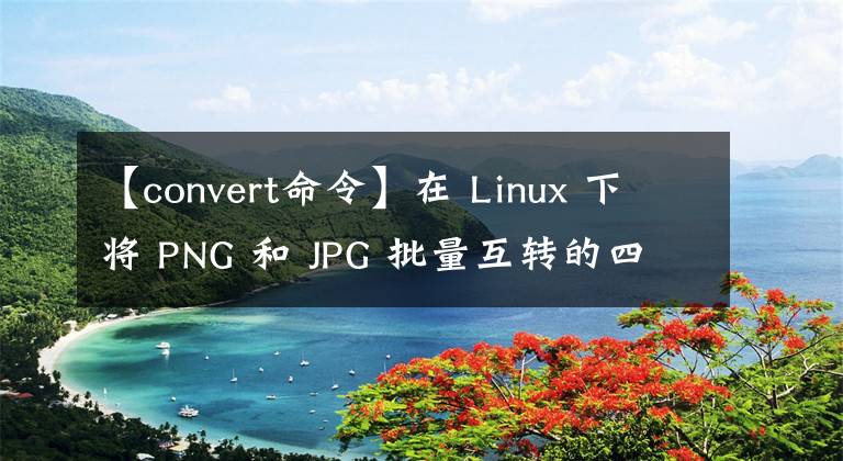 【convert命令】在 Linux 下將 PNG 和 JPG 批量互轉的四種方法