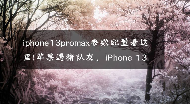 iphone13promax參數(shù)配置看這里!蘋果遇豬隊友，iPhone 13 Pro Max參數(shù)現(xiàn)身