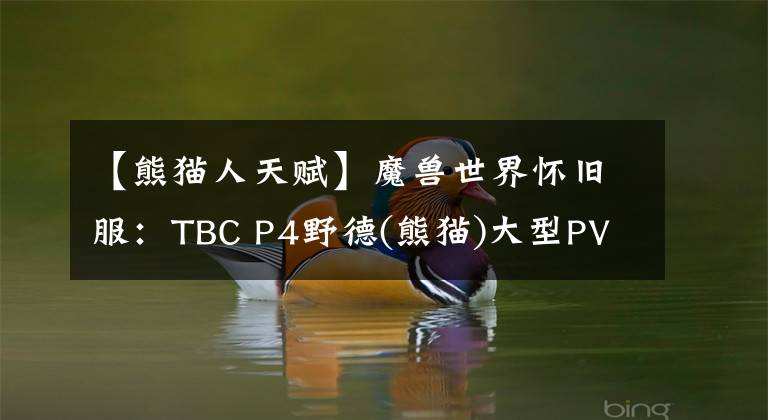 【熊貓人天賦】魔獸世界懷舊服：TBC P4野德(熊貓)大型PVE攻略