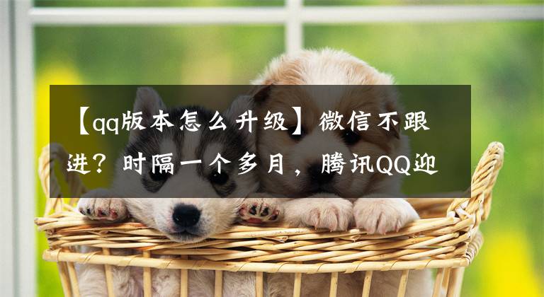 【qq版本怎么升級】微信不跟進？時隔一個多月，騰訊QQ迎來更新，終于可以升級了