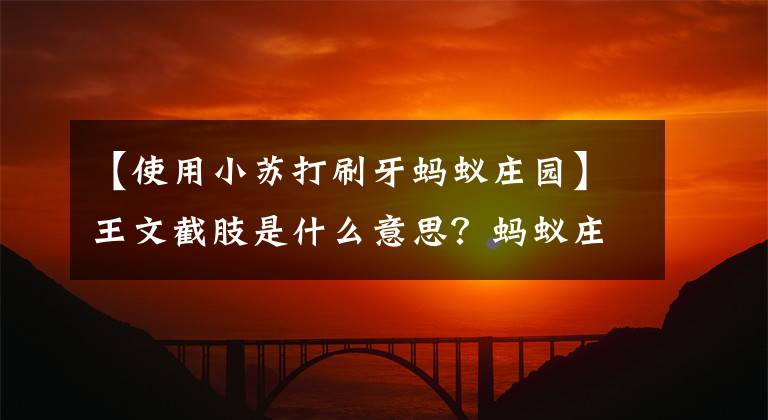 【使用小蘇打刷牙螞蟻莊園】王文截肢是什么意思？螞蟻莊園7月13日的答復(fù)是最新的