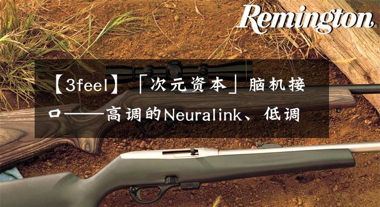 【3feel】「次元資本」腦機接口——高調(diào)的Neuralink、低調(diào)的Synchron、BCI