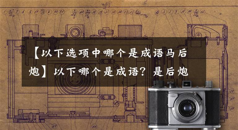 【以下選項(xiàng)中哪個(gè)是成語馬后炮】以下哪個(gè)是成語？是后炮還是打破砂鍋問到底？螞蟻莊園今天的回答