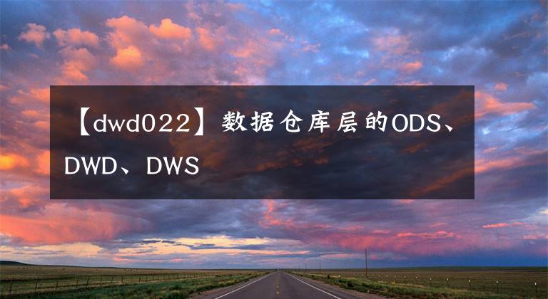 【dwd022】數(shù)據(jù)倉庫層的ODS、DWD、DWS