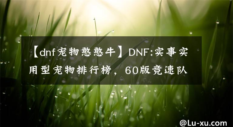 【dnf寵物憨憨?！緿NF:實(shí)事實(shí)用型寵物排行榜，60版競(jìng)速隊(duì)長(zhǎng)必備。嚇了我一跳。