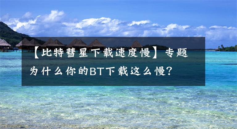 【比特彗星下載速度慢】專題為什么你的BT下載這么慢？