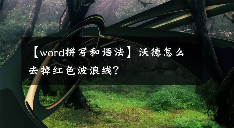 【word拼寫和語法】沃德怎么去掉紅色波浪線？