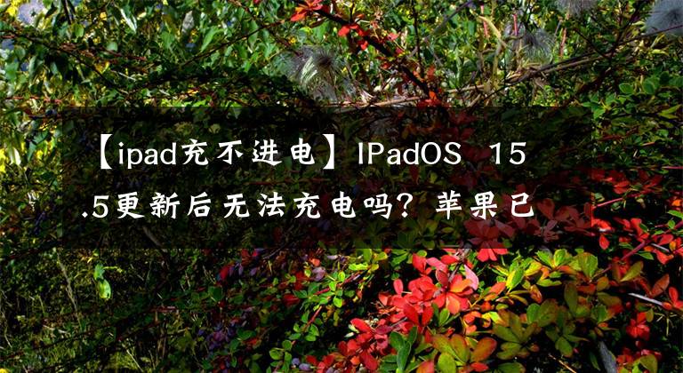 【ipad充不進(jìn)電】IPadOS  15.5更新后無(wú)法充電嗎？蘋(píng)果已經(jīng)開(kāi)始調(diào)查ipad  mini  6充電問(wèn)題