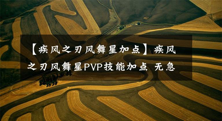 【疾風(fēng)之刃風(fēng)舞星加點(diǎn)】疾風(fēng)之刃風(fēng)舞星PVP技能加點(diǎn) 無急遁一樣起飛