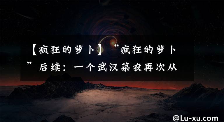 【瘋狂的蘿卜】“瘋狂的蘿卜”后續(xù)：一個武漢菜農(nóng)再次從心酸到心寬