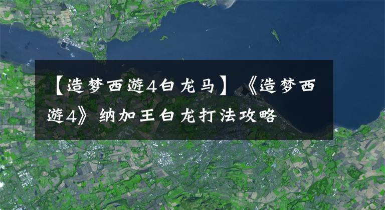 【造夢西游4白龍馬】《造夢西游4》納加王白龍打法攻略