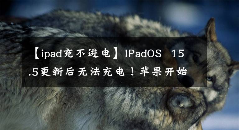 【ipad充不進(jìn)電】IPadOS 15.5更新后無(wú)法充電！蘋(píng)果開(kāi)始調(diào)查ipad mini 6充電問(wèn)題，網(wǎng)友：幸好沒(méi)有換電池。