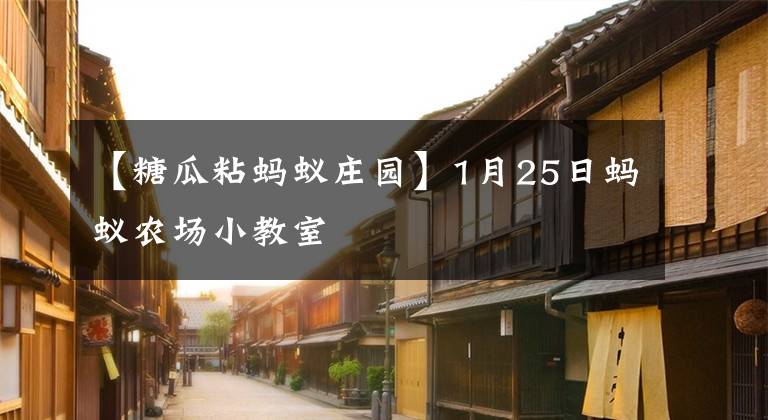 【糖瓜粘螞蟻莊園】1月25日螞蟻農(nóng)場(chǎng)小教室