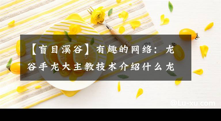 【盲目溪谷】有趣的網(wǎng)絡(luò)：龍谷手龍大主教技術(shù)介紹什么龍大主教技術(shù)