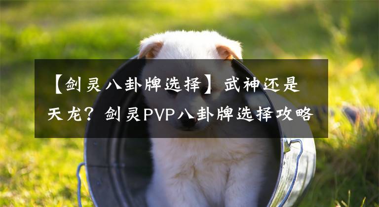 【劍靈八卦牌選擇】武神還是天龍？劍靈PVP八卦牌選擇攻略