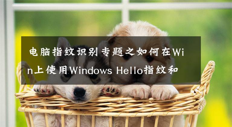 電腦指紋識別專題之如何在Win上使用Windows Hello指紋和人臉識別？