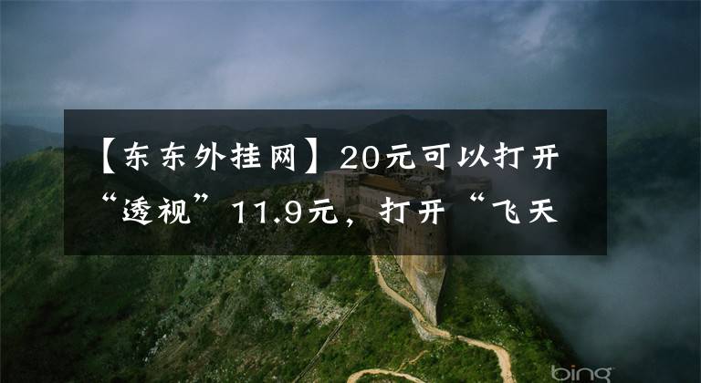 【東東外掛網(wǎng)】20元可以打開(kāi)“透視”11.9元，打開(kāi)“飛天”游戲插件的隱秘江湖。