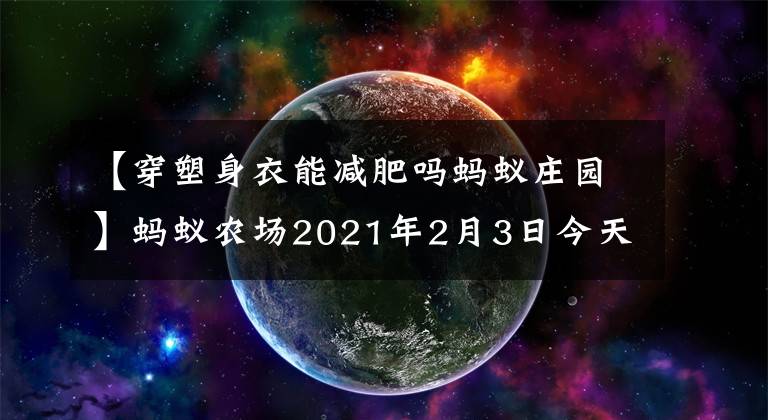 【穿塑身衣能減肥嗎螞蟻莊園】螞蟻農(nóng)場2021年2月3日今天回答的最新答案水果熱量越高，水果熱量越高嗎？支付寶螞蟻莊園響應(yīng)綜述