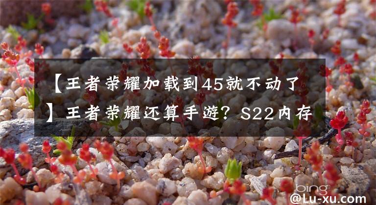 【王者榮耀加載到45就不動了】王者榮耀還算手游？S22內存超過10G，閃退、卡界面經常發(fā)生