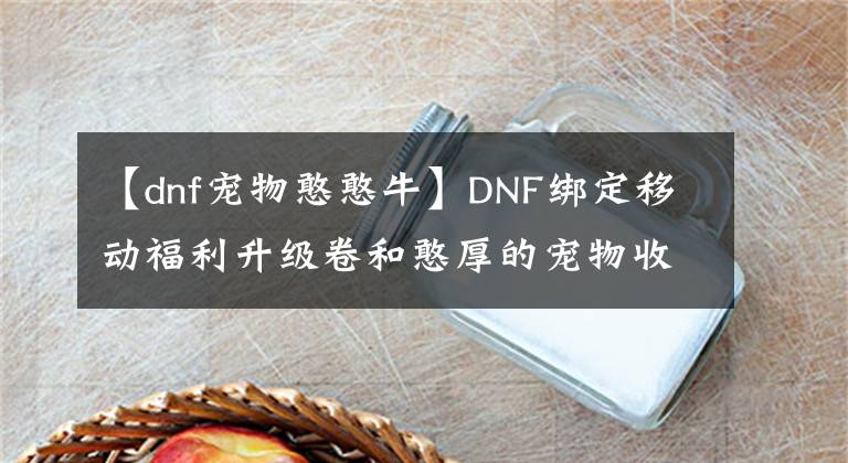 【dnf寵物憨憨?！緿NF綁定移動福利升級卷和憨厚的寵物收到了嗎？