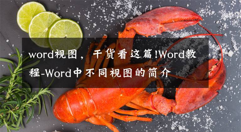 word視圖，干貨看這篇!Word教程-Word中不同視圖的簡(jiǎn)介