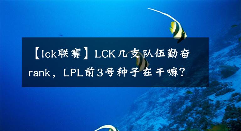 【lck聯(lián)賽】LCK幾支隊(duì)伍勤奮rank，LPL前3號種子在干嘛？9位選手十多天不排位