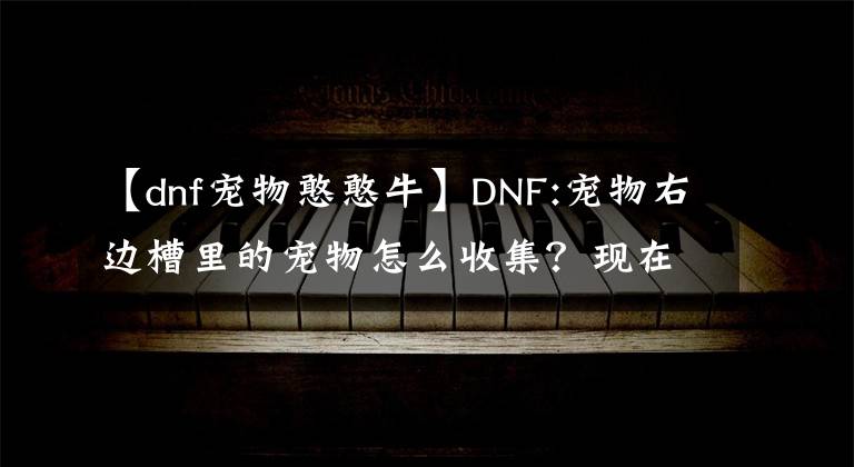 【dnf寵物憨憨?！緿NF:寵物右邊槽里的寵物怎么收集？現(xiàn)在還有什么辦法可以得到寵物嗎？