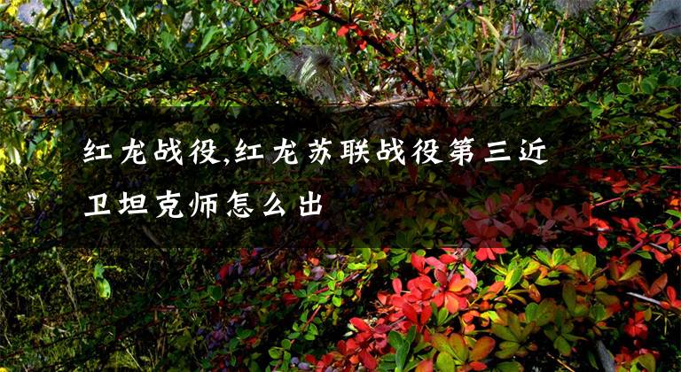 紅龍戰(zhàn)役,紅龍?zhí)K聯(lián)戰(zhàn)役第三近衛(wèi)坦克師怎么出