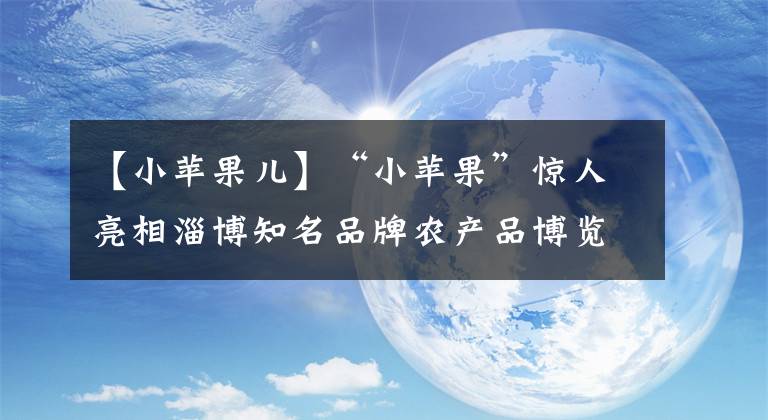 【小蘋果兒】“小蘋果”驚人亮相淄博知名品牌農(nóng)產(chǎn)品博覽會(huì)