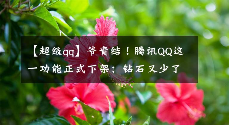 【超級(jí)qq】爺青結(jié)！騰訊QQ這一功能正式下架：鉆石又少了一個(gè)